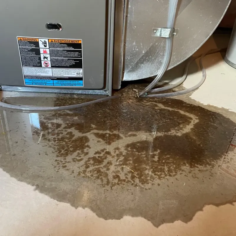 Appliance Leak Cleanup in Schuyler County, NY